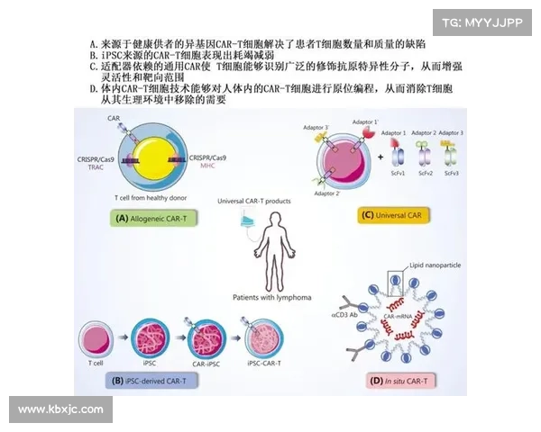 克罗米战役中最有效的策略分析与应用探讨
