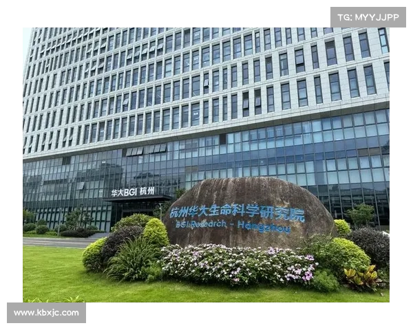 全方位深度解读洛塞尔索球风特点及其多维技术优势的系统化研究解析